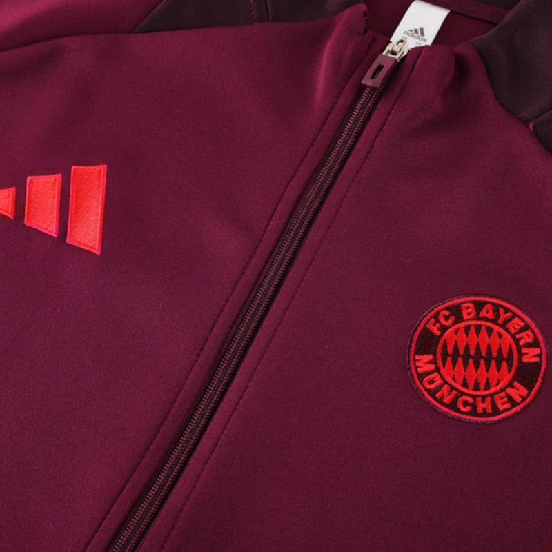 Sudadera FC Bayern Munich 24/25 Hombre