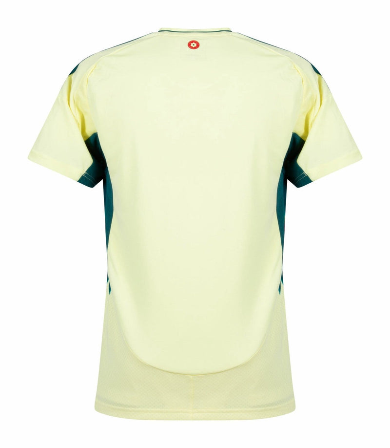 CAMISETA PAIS DE GALES II EURO 2024 HOMBRE